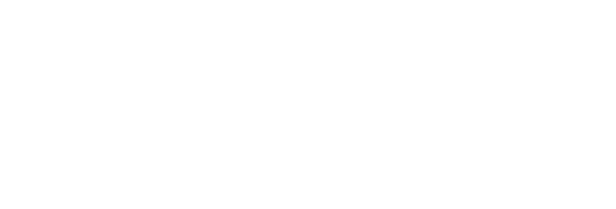 risa_mainlogo cosspy